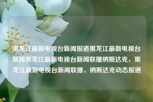 黑龙江最新电视台新闻报道黑龙江最新电视台新闻黑龙江最新电视台新闻联播纳斯达克，黑龙江最新电视台新闻联播，纳斯达克动态报道，黑龙江最新电视台新闻联播，纳斯达克动态报道及本地新闻快讯