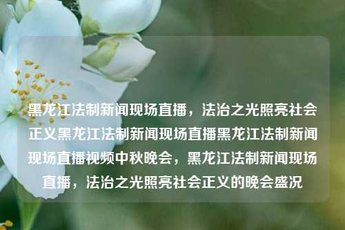 黑龙江法制新闻现场直播，法治之光照亮社会正义黑龙江法制新闻现场直播黑龙江法制新闻现场直播视频中秋晚会，黑龙江法制新闻现场直播，法治之光照亮社会正义的晚会盛况，黑龙江法制新闻现场直播，法治之光照亮社会正义的晚会盛况