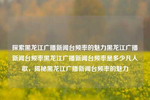 探索黑龙江广播新闻台频率的魅力黑龙江广播新闻台频率黑龙江广播新闻台频率是多少凡人歌，揭秘黑龙江广播新闻台频率的魅力，揭秘黑龙江广播新闻台频率的魅力之旅