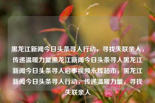 黑龙江新闻今日头条寻人行动，寻找失联亲人，传递温暖力量黑龙江新闻今日头条寻人黑龙江新闻今日头条寻人启事视频永辉超市，黑龙江新闻今日头条寻人行动，传递温暖力量，寻找失联亲人，黑龙江新闻今日头条寻人行动，传递温暖力量，寻找失联亲人