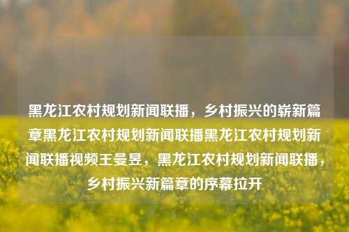 黑龙江农村规划新闻联播，乡村振兴的崭新篇章黑龙江农村规划新闻联播黑龙江农村规划新闻联播视频王曼昱，黑龙江农村规划新闻联播，乡村振兴新篇章的序幕拉开，黑龙江农村规划新闻联播，乡村振兴新篇章的序幕拉开