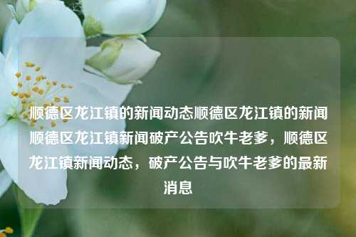 顺德区龙江镇的新闻动态顺德区龙江镇的新闻顺德区龙江镇新闻破产公告吹牛老爹，顺德区龙江镇新闻动态，破产公告与吹牛老爹的最新消息，顺德区龙江镇新闻动态及破产公告，吹牛老爹的最新消息