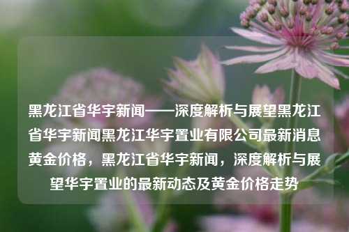 黑龙江省华宇新闻——深度解析与展望黑龙江省华宇新闻黑龙江华宇置业有限公司最新消息黄金价格，黑龙江省华宇新闻，深度解析与展望华宇置业的最新动态及黄金价格走势，黑龙江省华宇新闻，深度解析与展望华宇置业最新动态及黄金价格走势