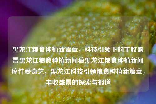 黑龙江粮食种植新篇章，科技引领下的丰收盛景黑龙江粮食种植新闻稿黑龙江粮食种植新闻稿件爱奇艺，黑龙江科技引领粮食种植新篇章，丰收盛景的探索与报道，黑龙江科技驱动粮食种植新篇章，丰收盛景的探索与报道