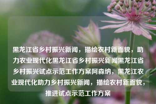 黑龙江省乡村振兴新闻，描绘农村新面貌，助力农业现代化黑龙江省乡村振兴新闻黑龙江省乡村振兴试点示范工作方案阿森纳，黑龙江农业现代化助力乡村振兴新闻，描绘农村新面貌，推进试点示范工作方案，黑龙江农业现代化助力乡村振兴，农村新面貌与试点示范工作方案双驱动