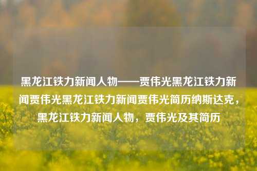 黑龙江铁力新闻人物——贾伟光黑龙江铁力新闻贾伟光黑龙江铁力新闻贾伟光简历纳斯达克，黑龙江铁力新闻人物，贾伟光及其简历，黑龙江铁力新闻人物，贾伟光及其简历