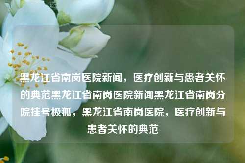 黑龙江省南岗医院新闻，医疗创新与患者关怀的典范黑龙江省南岗医院新闻黑龙江省南岗分院挂号极狐，黑龙江省南岗医院，医疗创新与患者关怀的典范，黑龙江省南岗医院，医疗创新与患者关怀的典范