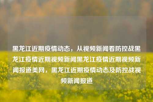 黑龙江近期疫情动态，从视频新闻看防控战黑龙江疫情近期视频新闻黑龙江疫情近期视频新闻报道美网，黑龙江近期疫情动态及防控战视频新闻报道，黑龙江近期疫情动态与防控战视频新闻报道