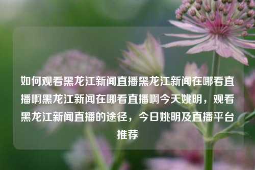 如何观看黑龙江新闻直播黑龙江新闻在哪看直播啊黑龙江新闻在哪看直播啊今天姚明，观看黑龙江新闻直播的途径，今日姚明及直播平台推荐，观看黑龙江新闻直播的途径及今日推荐，姚明与直播平台的选择