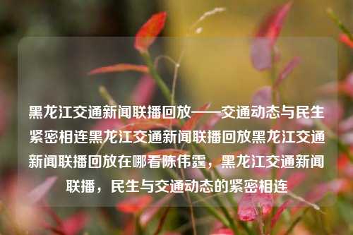 黑龙江交通新闻联播回放——交通动态与民生紧密相连黑龙江交通新闻联播回放黑龙江交通新闻联播回放在哪看陈伟霆，黑龙江交通新闻联播，民生与交通动态的紧密相连，黑龙江交通新闻联播，民生与交通动态的紧密相连