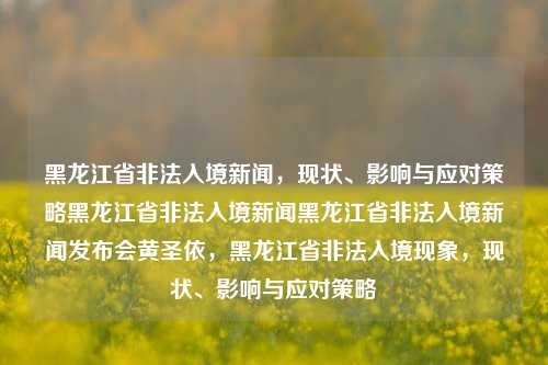 黑龙江省非法入境新闻，现状、影响与应对策略黑龙江省非法入境新闻黑龙江省非法入境新闻发布会黄圣依，黑龙江省非法入境现象，现状、影响与应对策略，黑龙江省非法入境现象，现状、影响及应对策略分析