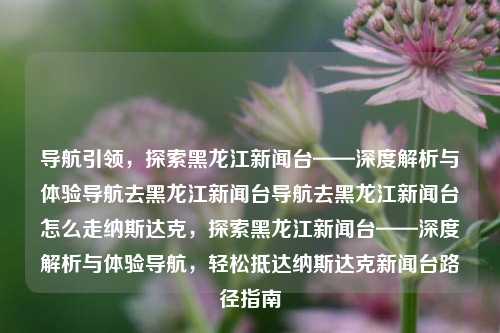 导航引领，探索黑龙江新闻台——深度解析与体验导航去黑龙江新闻台导航去黑龙江新闻台怎么走纳斯达克，探索黑龙江新闻台——深度解析与体验导航，轻松抵达纳斯达克新闻台路径指南，导航探索，轻松抵达黑龙江新闻台与纳斯达克路径指南