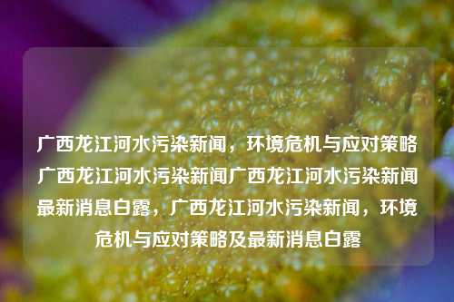 广西龙江河水污染新闻，环境危机与应对策略广西龙江河水污染新闻广西龙江河水污染新闻最新消息白露，广西龙江河水污染新闻，环境危机与应对策略及最新消息白露，广西龙江河污染事件，环境危机与应对策略最新进展报道