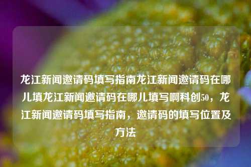 龙江新闻邀请码填写指南龙江新闻邀请码在哪儿填龙江新闻邀请码在哪儿填写啊科创50，龙江新闻邀请码填写指南，邀请码的填写位置及方法，龙江新闻邀请码填写方法与位置指南