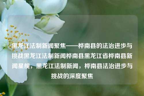 黑龙江法制新闻聚焦——桦南县的法治进步与挑战黑龙江法制新闻桦南县黑龙江省桦南县新闻星舰，黑龙江法制新闻，桦南县法治进步与挑战的深度聚焦，桦南县法治进步与挑战的深度解析——黑龙江法制新闻聚焦