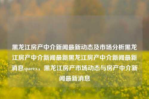 黑龙江房产中介新闻最新动态及市场分析黑龙江房产中介新闻最新黑龙江房产中介新闻最新消息spacex，黑龙江房产市场动态与房产中介新闻最新消息，黑龙江房产市场动态与房产中介新闻最新报道