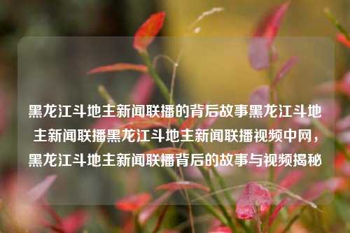 黑龙江斗地主新闻联播的背后故事黑龙江斗地主新闻联播黑龙江斗地主新闻联播视频中网，黑龙江斗地主新闻联播背后的故事与视频揭秘，黑龙江斗地主新闻联播背后的故事与视频揭秘