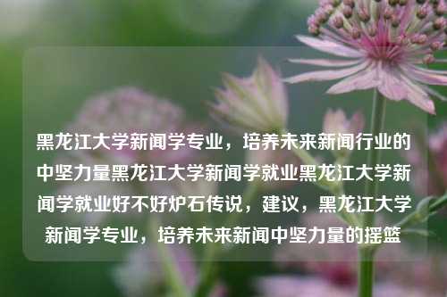 黑龙江大学新闻学专业，培养未来新闻行业的中坚力量黑龙江大学新闻学就业黑龙江大学新闻学就业好不好炉石传说，建议，黑龙江大学新闻学专业，培养未来新闻中坚力量的摇篮，黑龙江大学新闻学专业，培养新闻行业未来中坚力量的摇篮