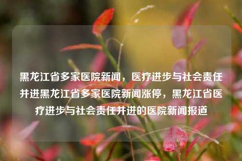 黑龙江省多家医院新闻，医疗进步与社会责任并进黑龙江省多家医院新闻涨停，黑龙江省医疗进步与社会责任并进的医院新闻报道，黑龙江省医疗进步与社会责任并进的医院新闻综述