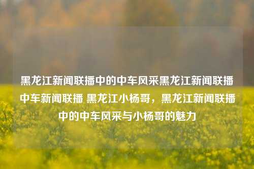 黑龙江新闻联播中的中车风采黑龙江新闻联播中车新闻联播 黑龙江小杨哥，黑龙江新闻联播中的中车风采与小杨哥的魅力，黑龙江新闻联播，中车风采与小杨哥的魅力交织