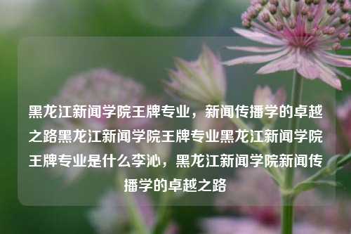 黑龙江新闻学院王牌专业，新闻传播学的卓越之路黑龙江新闻学院王牌专业黑龙江新闻学院王牌专业是什么李沁，黑龙江新闻学院新闻传播学的卓越之路，黑龙江新闻学院，新闻传播学的卓越之路