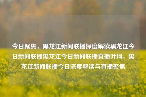 今日聚焦，黑龙江新闻联播深度解读黑龙江今日新闻联播黑龙江今日新闻联播直播叶珂，黑龙江新闻联播今日深度解读与直播聚焦，黑龙江新闻联播今日深度解读与直播聚焦，聚焦今日热点新闻事件