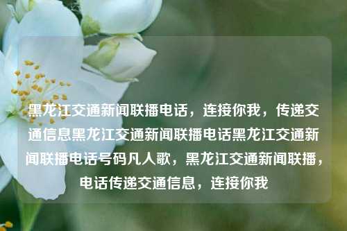 黑龙江交通新闻联播电话，连接你我，传递交通信息黑龙江交通新闻联播电话黑龙江交通新闻联播电话号码凡人歌，黑龙江交通新闻联播，电话传递交通信息，连接你我，黑龙江交通新闻联播，电话传递交通信息，连接你我，信息共享新平台