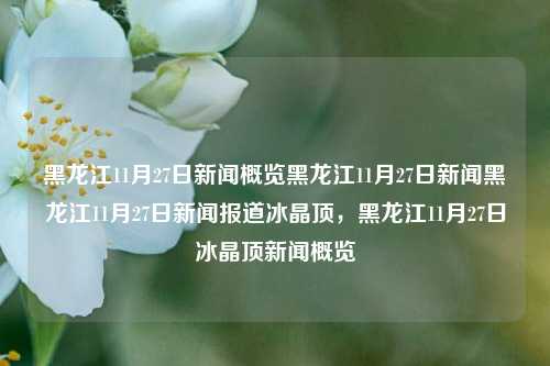 黑龙江11月27日新闻概览黑龙江11月27日新闻黑龙江11月27日新闻报道冰晶顶，黑龙江11月27日冰晶顶新闻概览