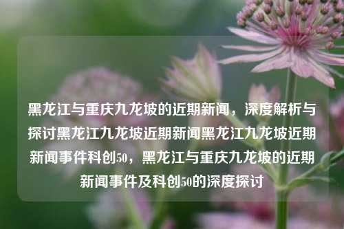 黑龙江与重庆九龙坡的近期新闻，深度解析与探讨黑龙江九龙坡近期新闻黑龙江九龙坡近期新闻事件科创50，黑龙江与重庆九龙坡的近期新闻事件及科创50的深度探讨，黑龙江与重庆九龙坡近期新闻事件及科创50的深度解析与探讨