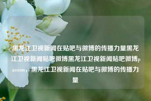 黑龙江卫视新闻在贴吧与微博的传播力量黑龙江卫视新闻贴吧微博黑龙江卫视新闻贴吧微博passion，黑龙江卫视新闻在贴吧与微博的传播力量，黑龙江卫视新闻在贴吧与微博的传播影响力