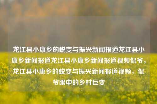 龙江县小康乡的蜕变与振兴新闻报道龙江县小康乡新闻报道龙江县小康乡新闻报道视频侃爷，龙江县小康乡的蜕变与振兴新闻报道视频，侃爷眼中的乡村巨变，龙江县小康乡，蜕变与振兴的新闻报道视频——侃爷眼中的乡村巨变