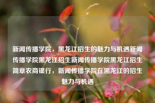 新闻传播学院，黑龙江招生的魅力与机遇新闻传播学院黑龙江招生新闻传播学院黑龙江招生简章农商银行，新闻传播学院在黑龙江的招生魅力与机遇，新闻传播学院在黑龙江的招生魅力与机遇，探索传播的无限可能