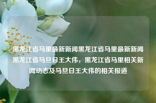 黑龙江省马里最新新闻黑龙江省马里最新新闻黑龙江省马旦日王大伟，黑龙江省马里相关新闻动态及马旦日王大伟的相关报道，黑龙江省马里相关新闻及马旦日王大伟的最新动态报道