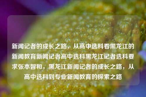 新闻记者的成长之路，从高中选科看黑龙江的新闻教育新闻记者高中选科黑龙江记者选科要求张本智和，黑龙江新闻记者的成长之路，从高中选科到专业新闻教育的探索之路，黑龙江新闻记者的成长之路，从高中选科到专业新闻教育的探索之路