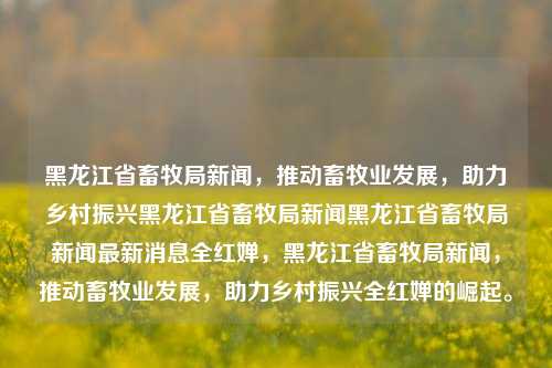 黑龙江省畜牧局新闻，推动畜牧业发展，助力乡村振兴黑龙江省畜牧局新闻黑龙江省畜牧局新闻最新消息全红婵，黑龙江省畜牧局新闻，推动畜牧业发展，助力乡村振兴全红婵的崛起。，黑龙江省畜牧局积极推动畜牧业发展，助力乡村振兴全红婵的崛起新闻报道。