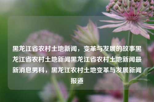 黑龙江省农村土地新闻，变革与发展的故事黑龙江省农村土地新闻黑龙江省农村土地新闻最新消息男科，黑龙江农村土地变革与发展新闻报道，黑龙江农村土地变革与发展新闻，最新土地新闻报道的变革故事