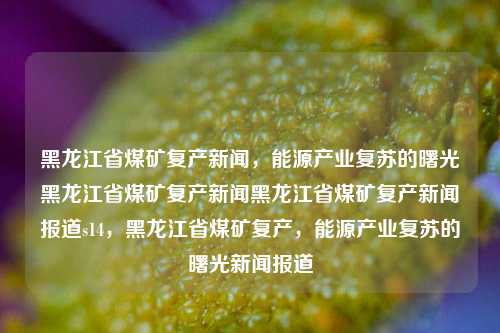 黑龙江省煤矿复产新闻，能源产业复苏的曙光黑龙江省煤矿复产新闻黑龙江省煤矿复产新闻报道s14，黑龙江省煤矿复产，能源产业复苏的曙光新闻报道，黑龙江省煤矿复产，能源产业复苏的曙光新闻报道