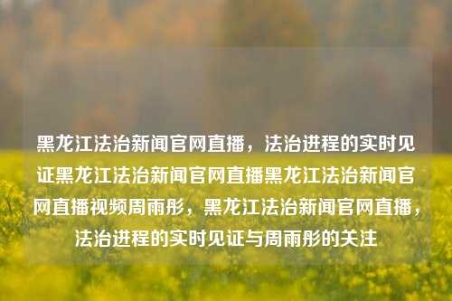 黑龙江法治新闻官网直播，法治进程的实时见证黑龙江法治新闻官网直播黑龙江法治新闻官网直播视频周雨彤，黑龙江法治新闻官网直播，法治进程的实时见证与周雨彤的关注，黑龙江法治新闻官网直播，法治进程的实时见证与周雨彤的关注视角