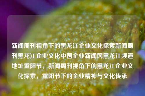 新闻周刊视角下的黑龙江企业文化探索新闻周刊黑龙江企业文化中国企业新闻网黑龙江频道地址重阳节，新闻周刊视角下的黑龙江企业文化探索，重阳节下的企业精神与文化传承，重阳节视角下的黑龙江企业文化探索与传承新闻周刊报道