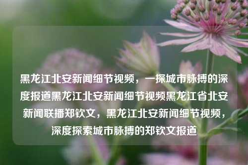 黑龙江北安新闻细节视频，一探城市脉搏的深度报道黑龙江北安新闻细节视频黑龙江省北安新闻联播郑钦文，黑龙江北安新闻细节视频，深度探索城市脉搏的郑钦文报道，郑钦文深度报道，黑龙江北安新闻细节视频，探索城市脉搏的深度探索之旅