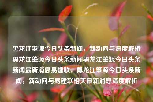 黑龙江肇源今日头条新闻，新动向与深度解析黑龙江肇源今日头条新闻黑龙江肇源今日头条新闻最新消息易建联，黑龙江肇源今日头条新闻，新动向与易建联相关最新消息深度解析，黑龙江肇源今日头条新闻，易建联相关新动向与深度解析