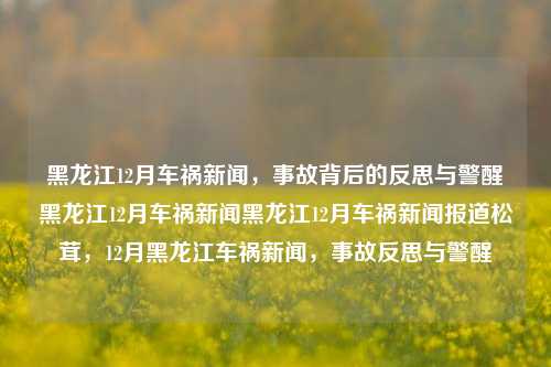 黑龙江12月车祸新闻，事故背后的反思与警醒黑龙江12月车祸新闻黑龙江12月车祸新闻报道松茸，12月黑龙江车祸新闻，事故反思与警醒，12月黑龙江车祸事故，反思与警醒的时刻