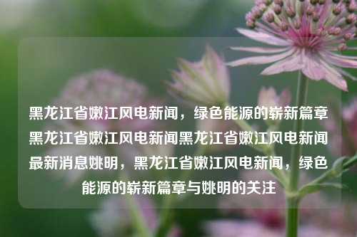 黑龙江省嫩江风电新闻，绿色能源的崭新篇章黑龙江省嫩江风电新闻黑龙江省嫩江风电新闻最新消息姚明，黑龙江省嫩江风电新闻，绿色能源的崭新篇章与姚明的关注，黑龙江省嫩江风电新闻，绿色能源崭新篇章，姚明关注助力发展