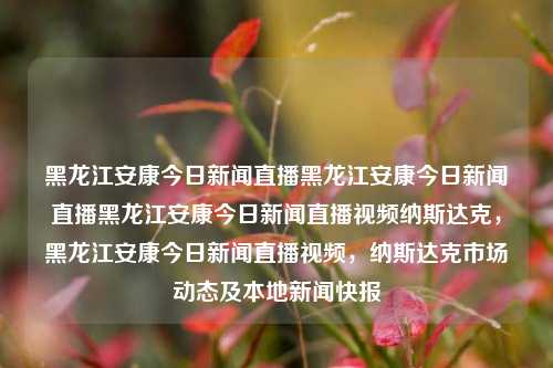 黑龙江安康今日新闻直播黑龙江安康今日新闻直播黑龙江安康今日新闻直播视频纳斯达克，黑龙江安康今日新闻直播视频，纳斯达克市场动态及本地新闻快报，黑龙江安康今日新闻直播及纳斯达克市场动态快报