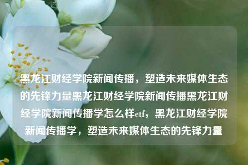 黑龙江财经学院新闻传播，塑造未来媒体生态的先锋力量黑龙江财经学院新闻传播黑龙江财经学院新闻传播学怎么样etf，黑龙江财经学院新闻传播学，塑造未来媒体生态的先锋力量，黑龙江财经学院新闻传播学，塑造未来媒体生态的先锋力量