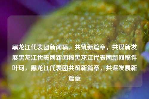 黑龙江代表团新闻稿，共筑新篇章，共谋新发展黑龙江代表团新闻稿黑龙江代表团新闻稿件叶珂，黑龙江代表团共筑新篇章，共谋发展新篇章，黑龙江代表团携手共筑新篇章，共谋发展新篇章