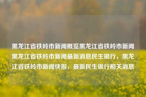 黑龙江省铁岭市新闻概览黑龙江省铁岭市新闻黑龙江省铁岭市新闻最新消息民生银行，黑龙江省铁岭市新闻快报，最新民生银行相关消息，铁岭市新闻快报，民生银行最新动态及地方新闻概览