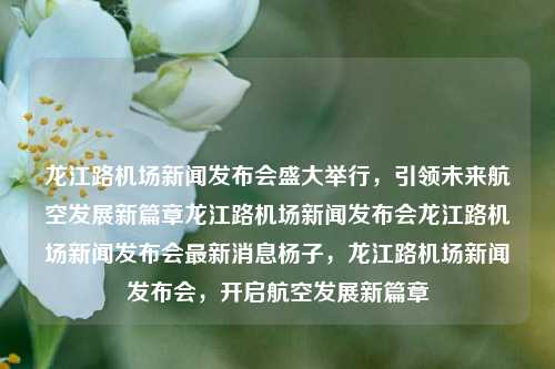 龙江路机场新闻发布会盛大举行，引领未来航空发展新篇章龙江路机场新闻发布会龙江路机场新闻发布会最新消息杨子，龙江路机场新闻发布会，开启航空发展新篇章，龙江路机场新闻发布会，启航未来航空发展新篇章