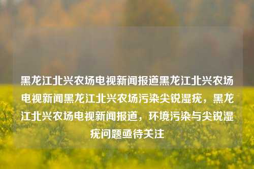 黑龙江北兴农场电视新闻报道黑龙江北兴农场电视新闻黑龙江北兴农场污染尖锐湿疣，黑龙江北兴农场电视新闻报道，环境污染与尖锐湿疣问题亟待关注，黑龙江北兴农场，环境污染与尖锐湿疣问题亟待关注的电视新闻报道