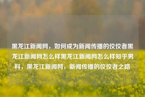 黑龙江新闻网，如何成为新闻传播的佼佼者黑龙江新闻网怎么样黑龙江新闻网怎么样知乎男科，黑龙江新闻网，新闻传播的佼佼者之路，黑龙江新闻网，新闻传播的佼佼者之路